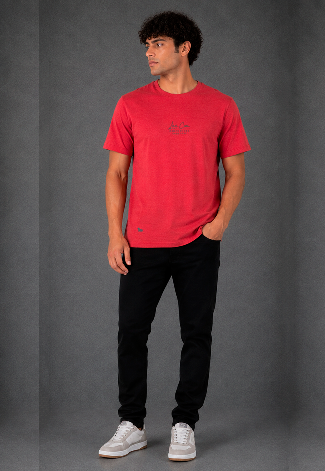 Camiseta Hombre Ref. 1400045 | Mayoristas Lec